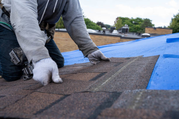 Best Roof Leak Repair  in Glen Carbon, IL
